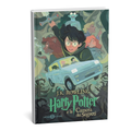Harry Potter e la Camera dei Segreti