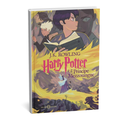 Harry Potter e il Principe Mezzosangue